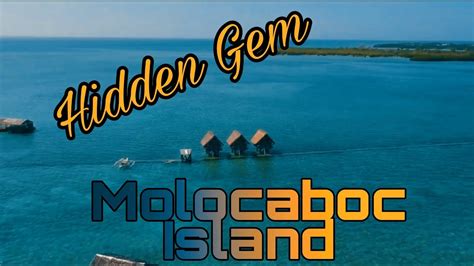 molocaboc island sagay city|Molocaboc Island, Sagay City Negros Occidental.